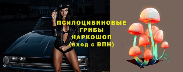 индика Абдулино