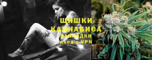 PSILOCYBIN Алзамай
