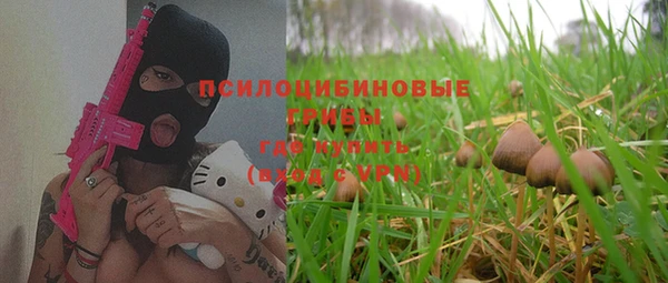 дживик Абинск