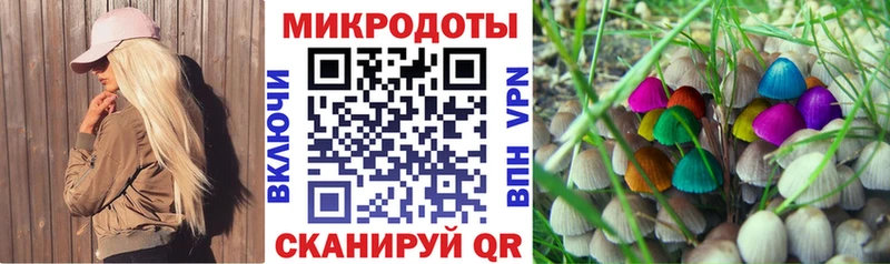 Галлюциногенные грибы ЛСД  площадка какой сайт  Кремёнки 